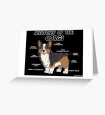Anatomie des Corgi - Tricolor Grußkarte