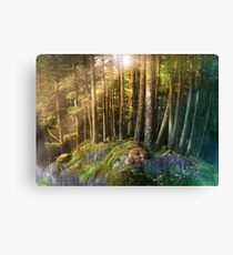 Fox Haven Canvas Print