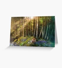 Fox Haven Greeting Card