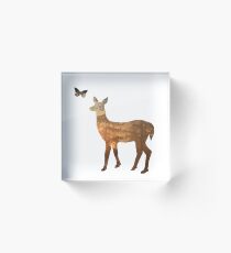 Life is Strange - 2 Acrylic Block