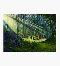 The Dragon Garden Photographic Print