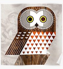 Saw Whet Owl Poster