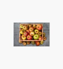 Windfall Apples. Art Board