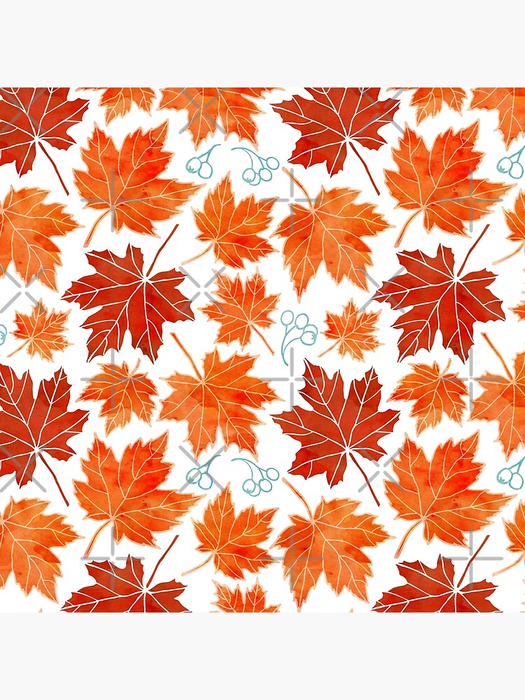 Autumn leaves against white by adenaJ