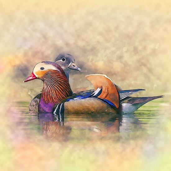 "Watercolor Mandarin Ducks Feng Shui Symbol " Posters by ...