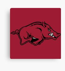 Arkansas Razorbacks Canvas Print