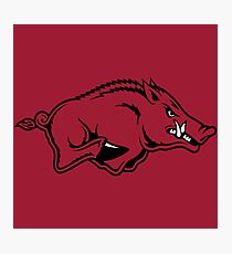 Arkansas Razorbacks Photographic Print