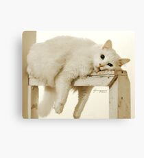 Bored Canvas Print
