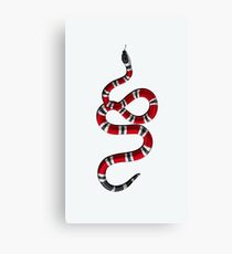 white snake Canvas Print