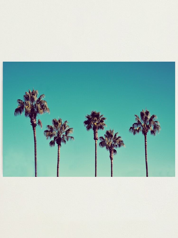 California Palm Trees Photographic Print By Lawsonimages Redbubble