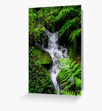 Small Mountain Stream Greeting Card