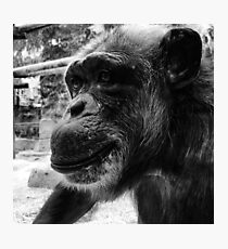 Monkey Photographic Print