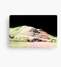 Landscape for Piet Mondrian # 2 Canvas Print