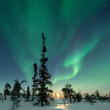 Aurora Borealis Northern Lights Leggings