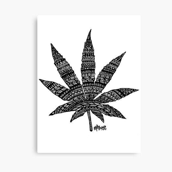 Chronic Leaf Canvas Print