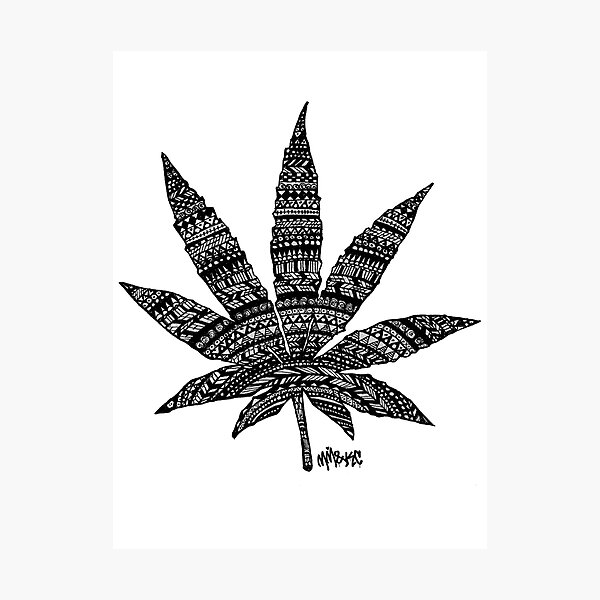 Chronic Leaf Photographic Print