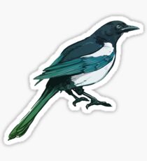 Magpie Sticker