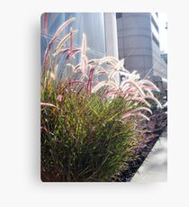 In The Midst Of Business Canvas Print
