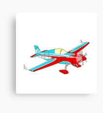 Plane in the skies Canvas Print