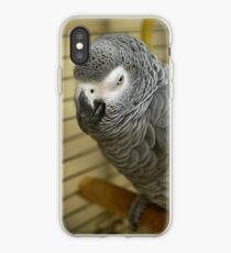 African Grey Parrot iPhone Case