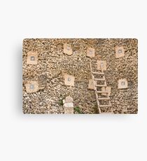 Holding wall Canvas Print