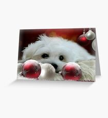 Hermes at Christmas Greeting Card