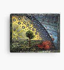 Flammarion engraving Metal Print