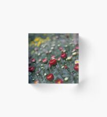 Shrub Acrylic Block