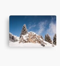 Climber Canvas Print
