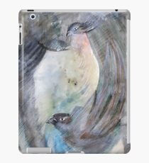 Mirror iPad Case/Skin