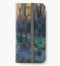 River Devon in Clackmannan iPhone Wallet/Case/Skin