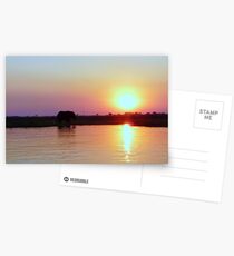 'Serenity At Sunset' - Chobe, Botswana Postcards