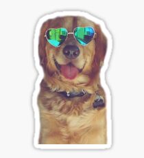 Pegatina golden retriever