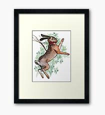 Youth Framed Print