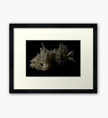 Peonies saying goodbye...... Framed Print