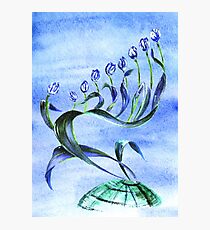 Flower Menorah Photographic Print