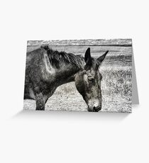 Alone Greeting Card