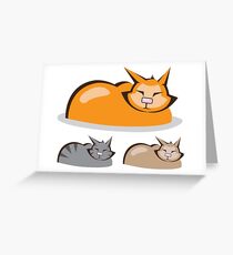Sleeping cat variety Greeting Card