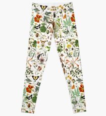 Biology 101 Leggings