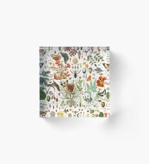 Biology 101 Acrylic Block