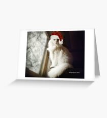 Meowy Christmas Greeting Card
