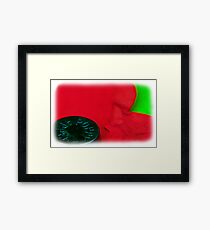 remember them ... Framed Print