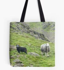 Lake District Icon...The Next Generation Tote Bag