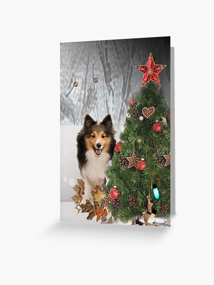 SHELTIE SHETLAND SHEEPDOG PACK OF 4 CARDS DOG PRINT GREETING CHRISTMAS CARDS