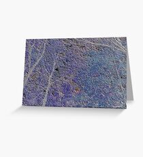 D-light Greeting Card