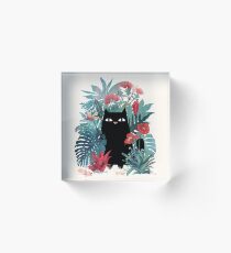 Popoki Acrylic Block