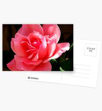Just because Postcards