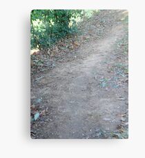 dirt road Metal Print