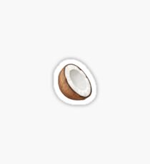 little coconut Sticker
