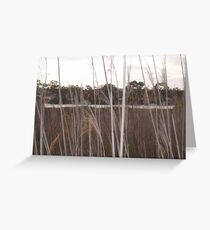 More water please. Greeting Card